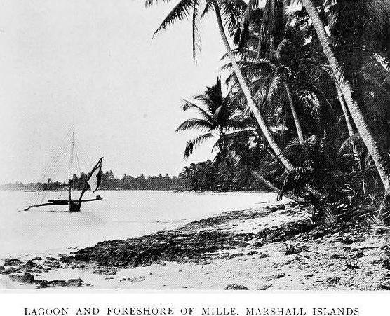 10805628_644099635707207_1346614245675032615_n