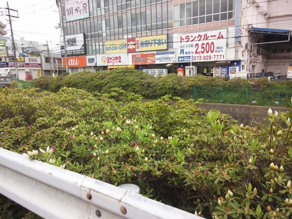 11147196_831716803587829_2799913852090230703_n