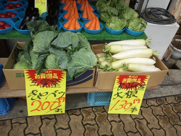 11200633_845731172186392_3061624626763973939_n