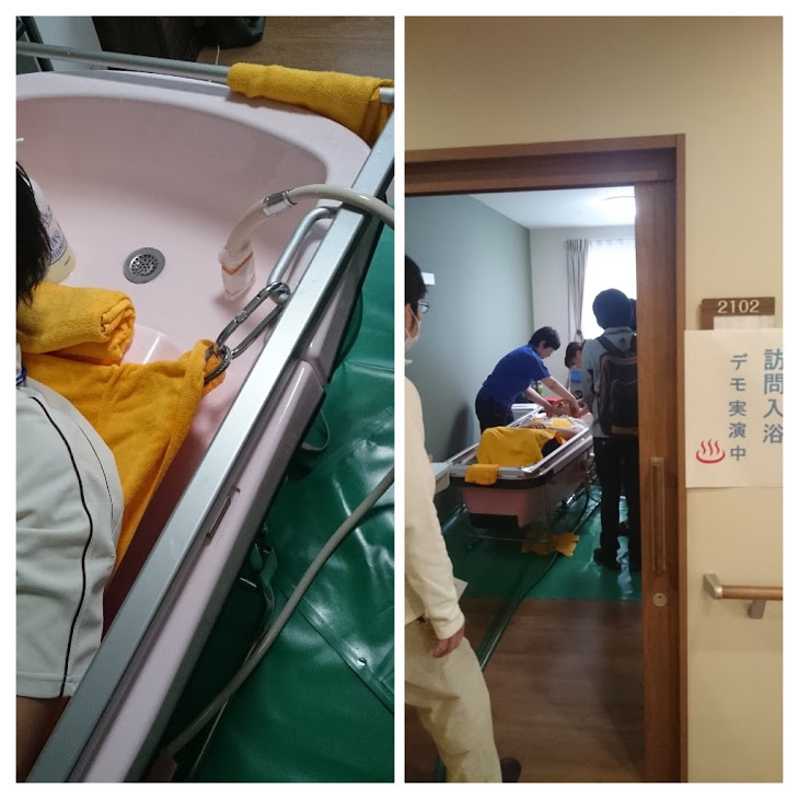 12C98A65-3659-4142-8201-5D47AD696B61-COLLAGE