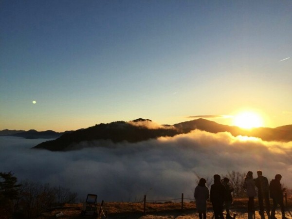 1449726797560_resized