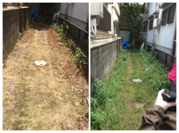 20160524144753-COLLAGE