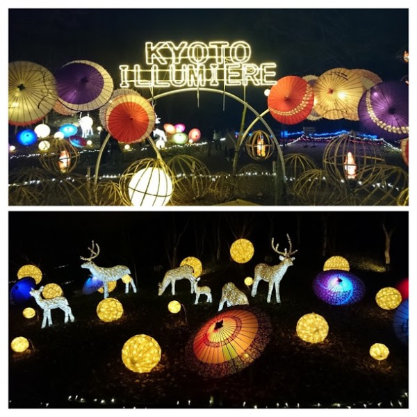 4E9BE34D-6586-4930-9C8B-28EA98284A7A-COLLAGE