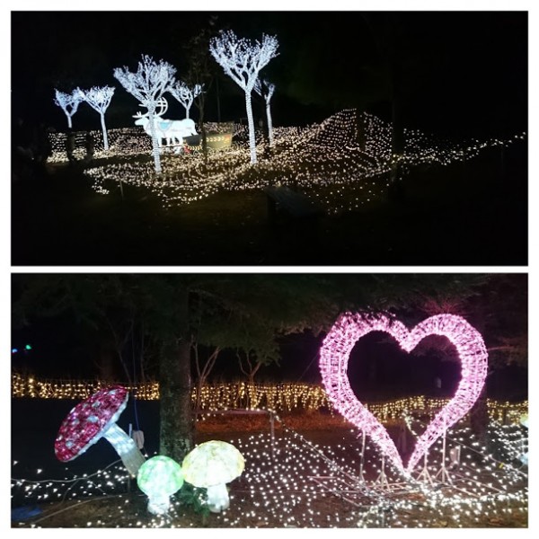 5FA1BDB5-C8E1-4F3E-9745-D0B60F0C2AE9-COLLAGE