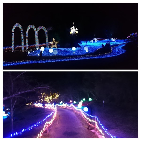 B0F24E73-3967-4C63-A5FA-00E25FB20D24-COLLAGE