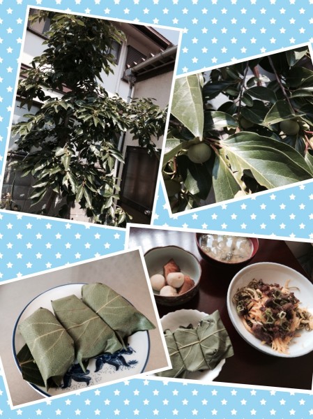 Processed with Moldiv