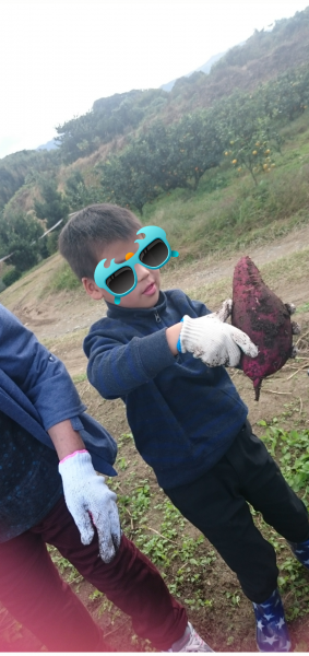 sketch-1480053854644